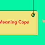 Bolo Meaning Cops