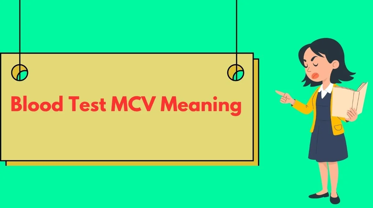 Blood Test MCV Meaning