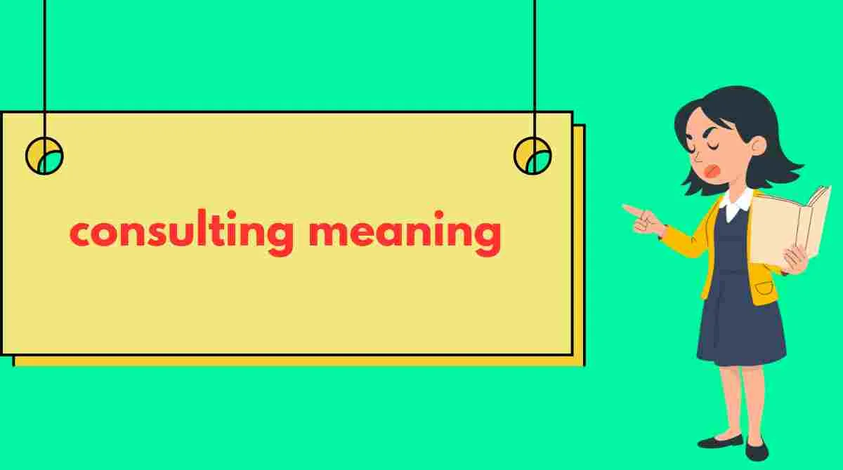 consulting meaning