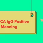 EBV VCA IgG Positive Meaning
