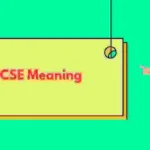 IGCSE Meaning