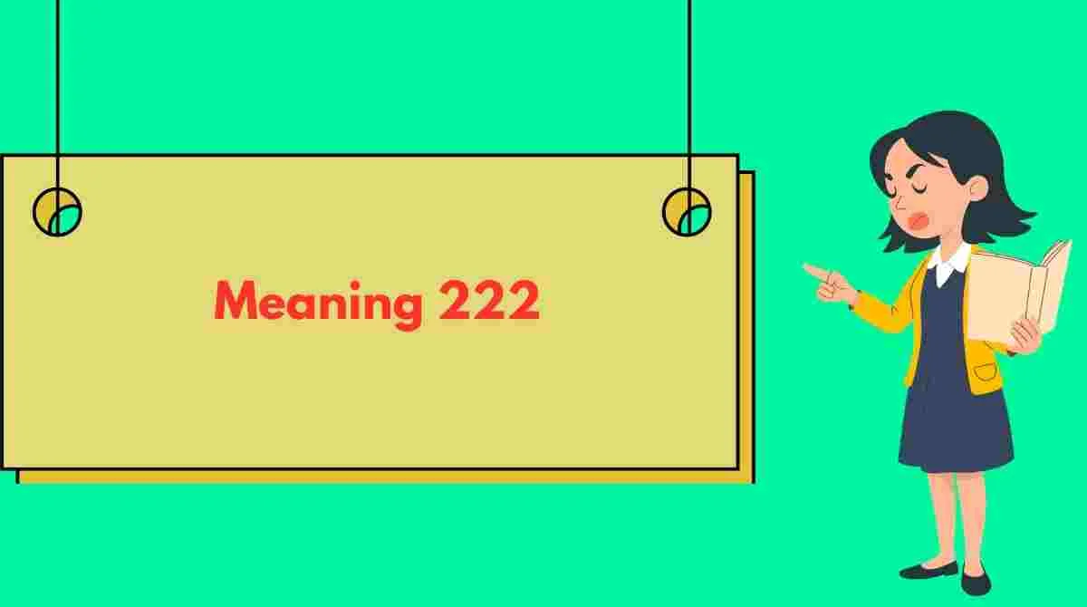 Meaning 222