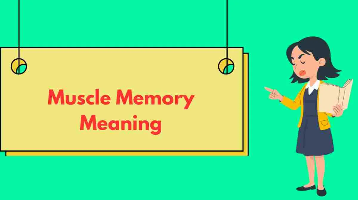 Muscle Memory Meaning