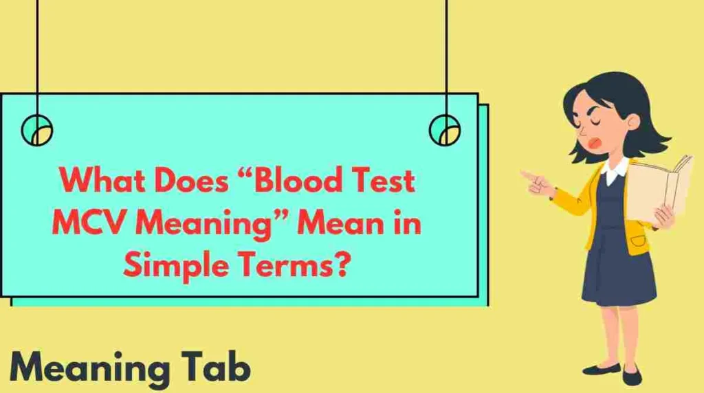 What Does “Blood Test MCV Meaning” Mean in Simple Terms?