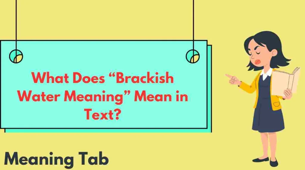 What Does “Brackish Water Meaning” Mean in Text?