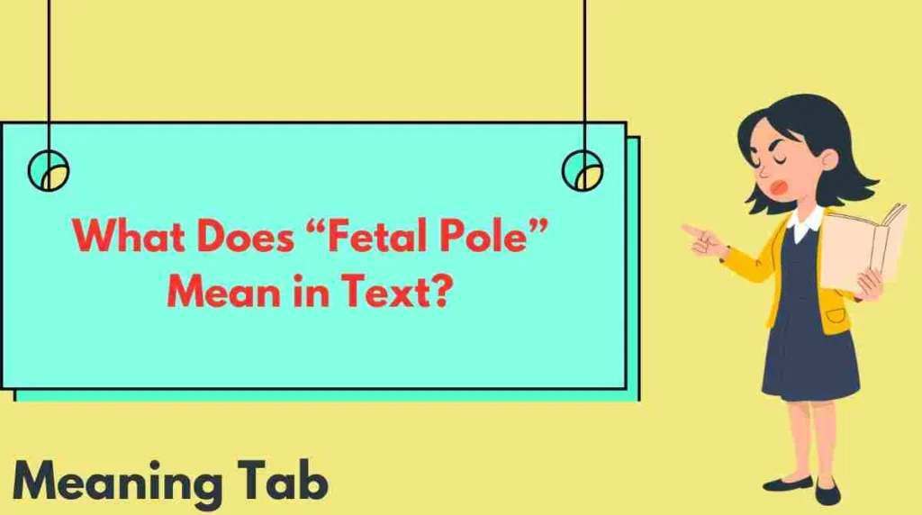 What Does “Fetal Pole” Mean in Text?