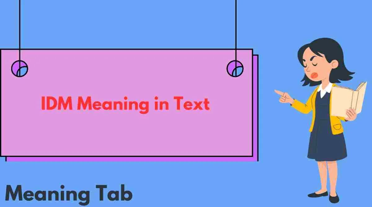 IDM Meaning in Text