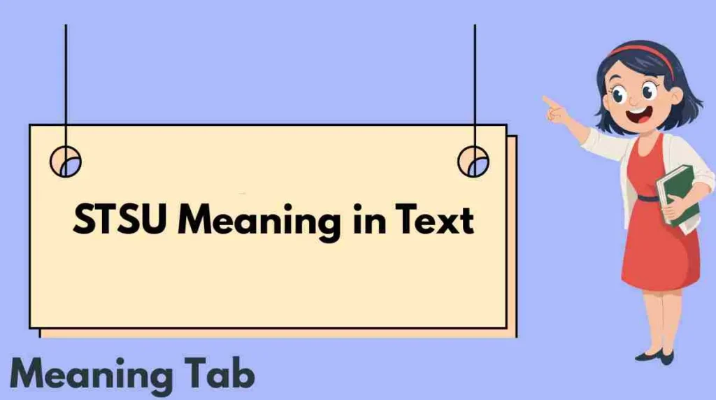 STSU Meaning in Text