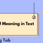 STSU Meaning in Text