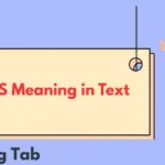 WYS Meaning in Text